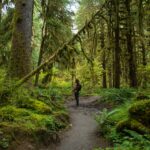 The Healing Power of Doing Nothing: Finding Strength in Boredom, Forest Bathing, Restorative Yoga for Cancer Survivorship