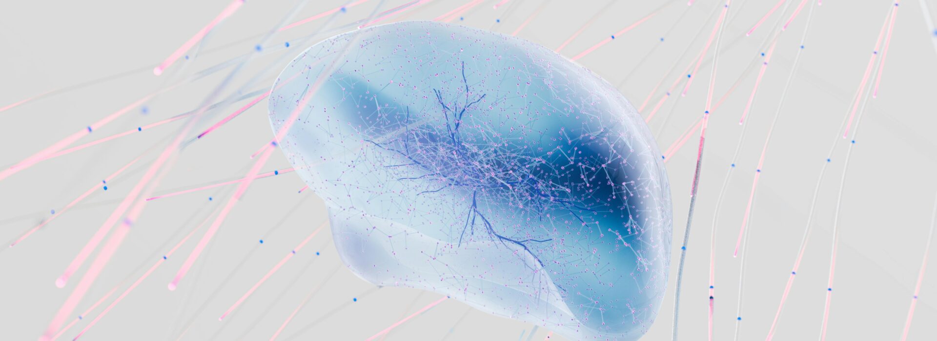 nervous system after cancer